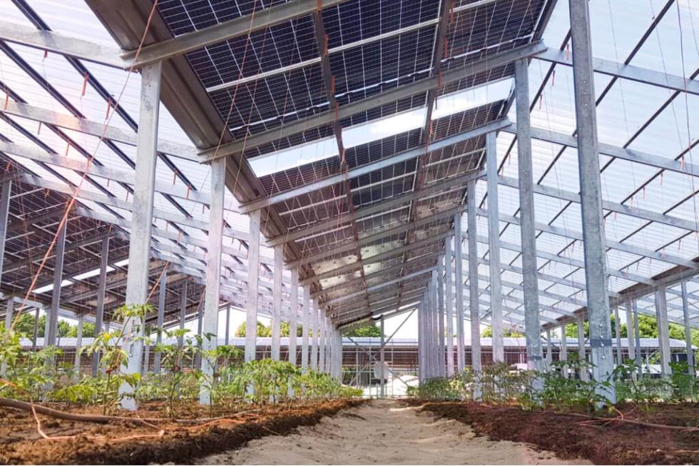 agrisolar-anbau-heilkraeuter-lekker-energie-tex-1024x683